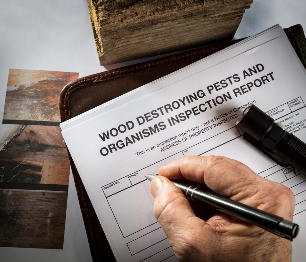 Pest inspection report for real estate transactions